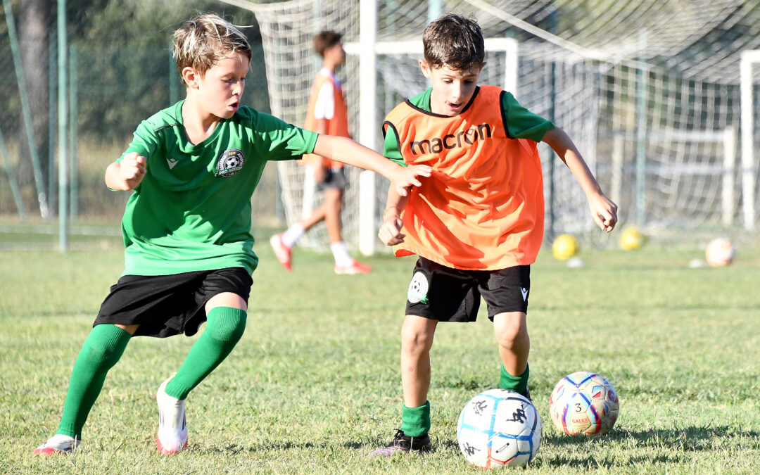 Open day: il 4 settembre a Grosseto